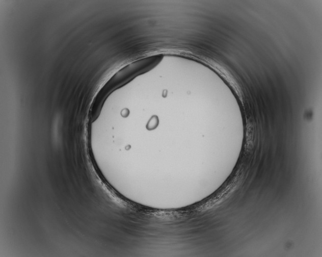 X0000099930906200806201054