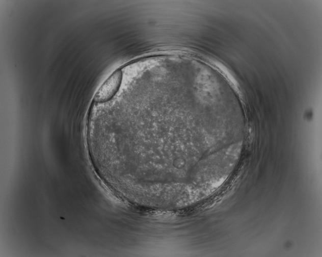 X0000099930907200806201054