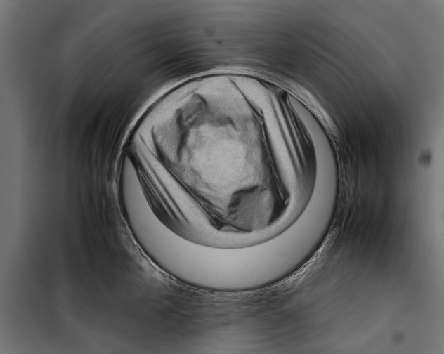 X0000099930908200806201054