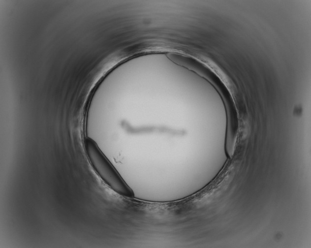 X0000099930909200806201054