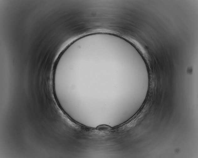 X0000099930910200806201054