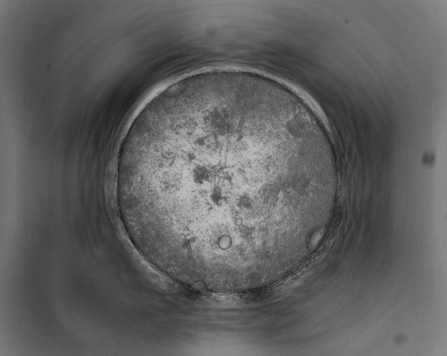 X0000099930911200806201054