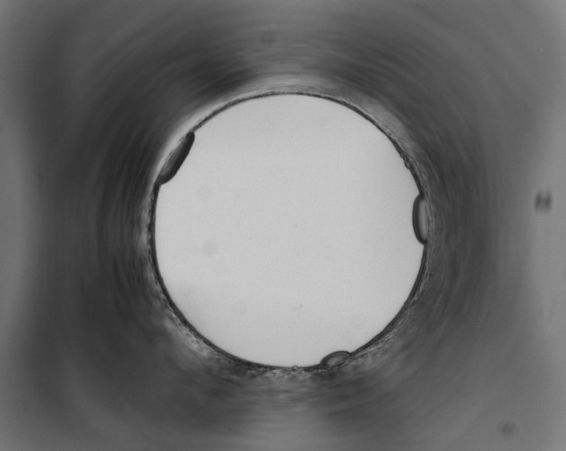 X0000099930912200806201054