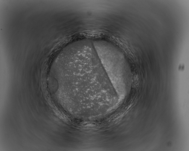 X0000099930913200806201053