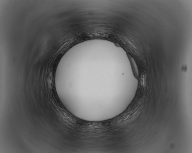 X0000099930915200806201053