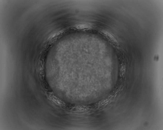 X0000099930917200806201053