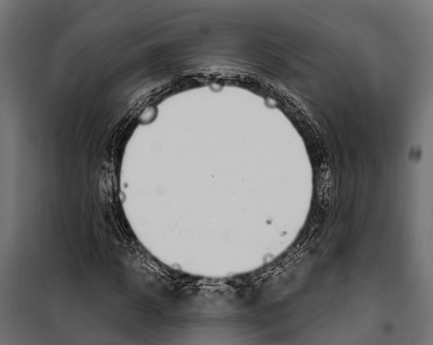 X0000099930918200806201053