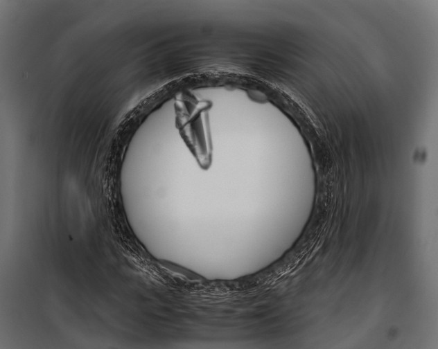 X0000099930919200806201053