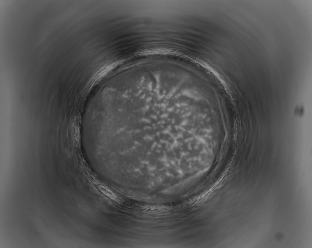 X0000099930921200806201053