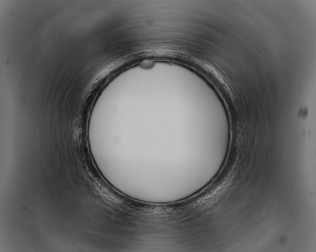 X0000099930922200806201053