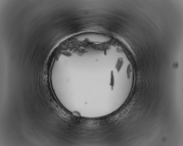 X0000099930923200806201053