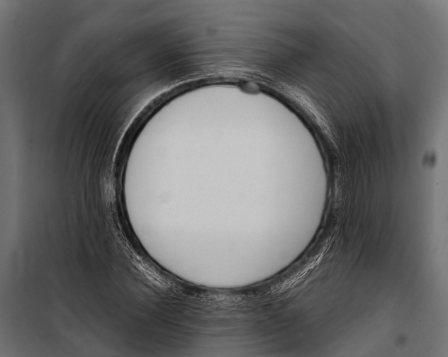 X0000099930924200806201053