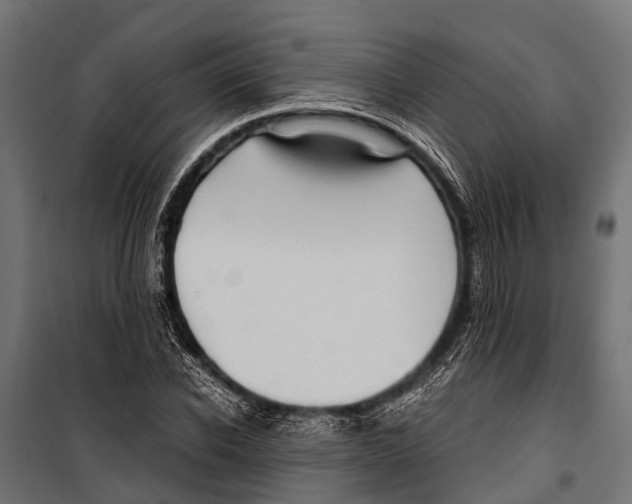 X0000099930926200806201053