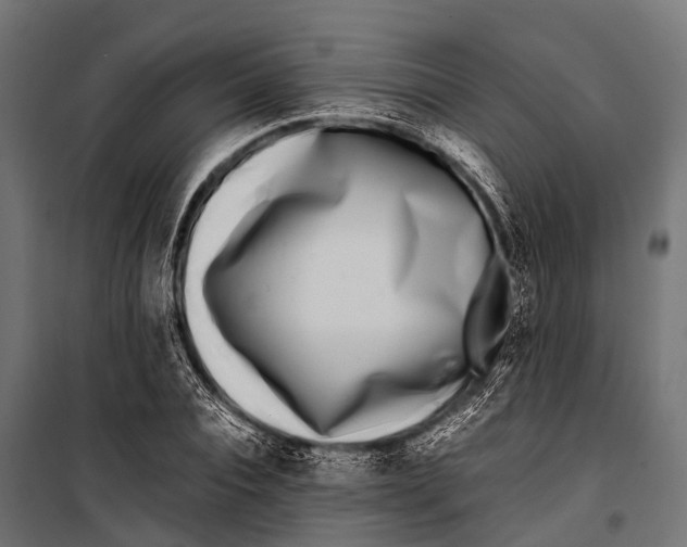 X0000099930928200806201053