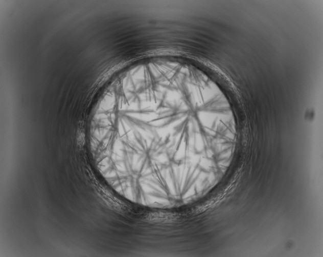 X0000099930929200806201053