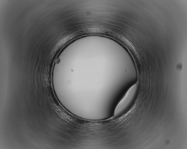 X0000099930930200806201053