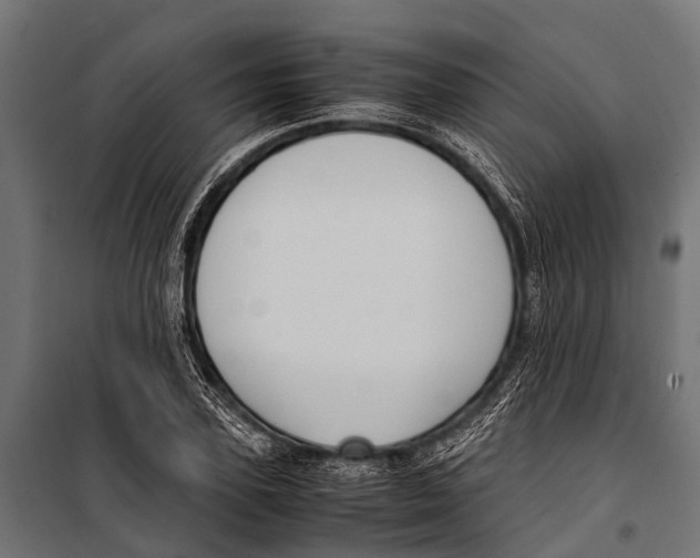 X0000099930931200806201053