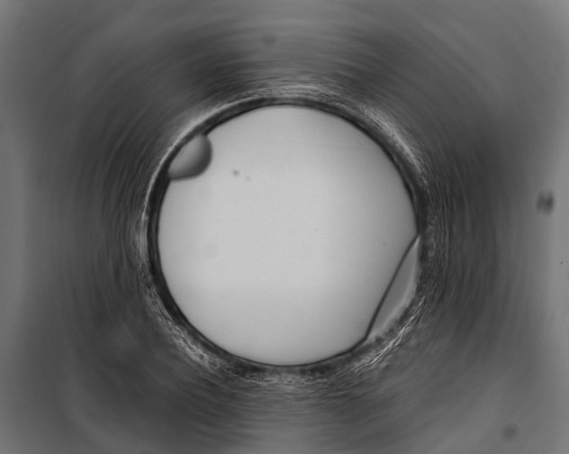 X0000099930932200806201053