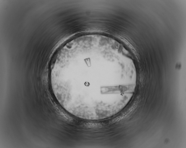 X0000099930933200806201053