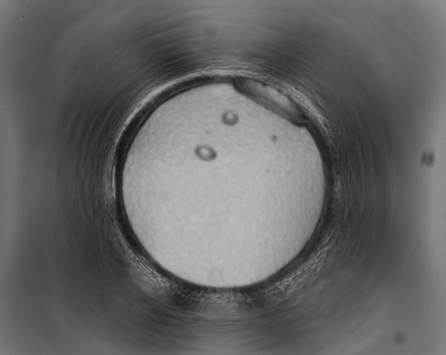 X0000099930934200806201053