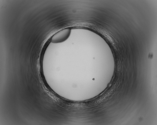 X0000099930936200806201053