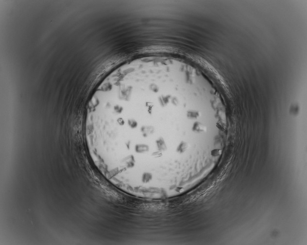 X0000099930937200806201053