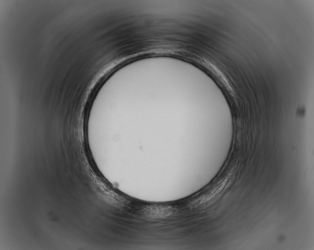 X0000099930939200806201053