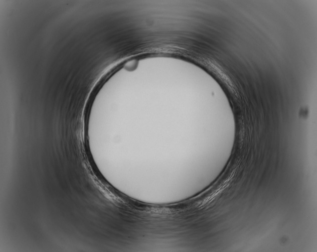 X0000099930940200806201053