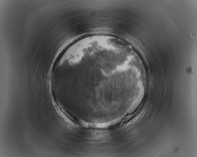 X0000099930941200806201053