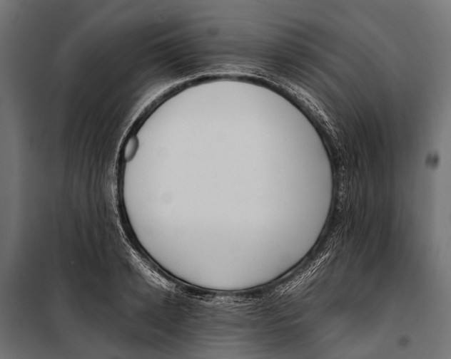 X0000099930942200806201053