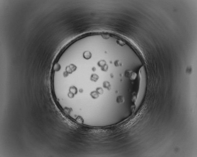 X0000099930943200806201054