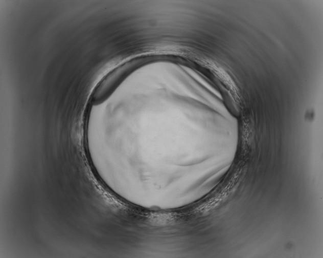 X0000099930944200806201054