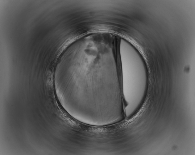 X0000099930945200806201054