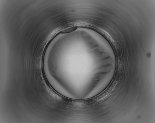 X0000099930946200806201054