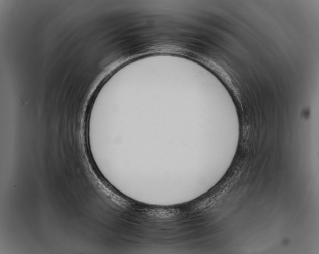 X0000099930947200806201054