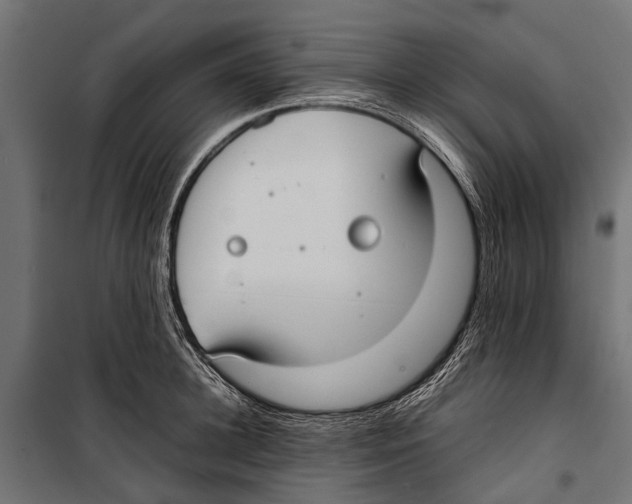 X0000099930948200806201054