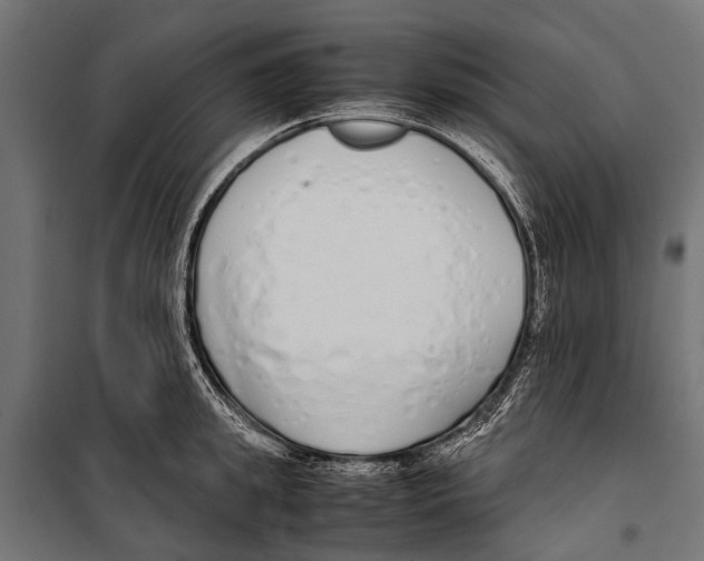 X0000099930949200806201054