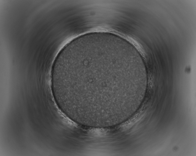 X0000099930950200806201054