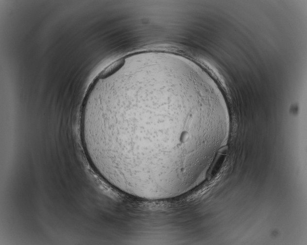 X0000099930952200806201054