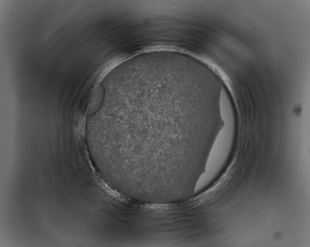 X0000099930953200806201054