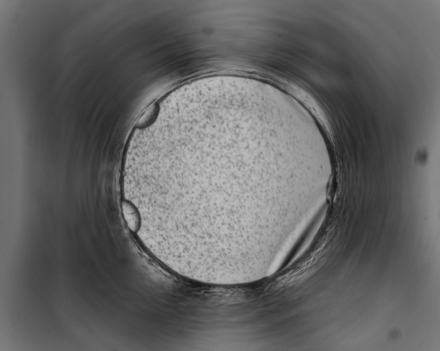 X0000099930954200806201054