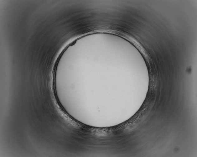 X0000099930955200806201054