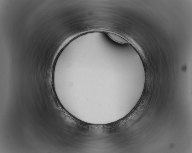 X0000099930956200806201054