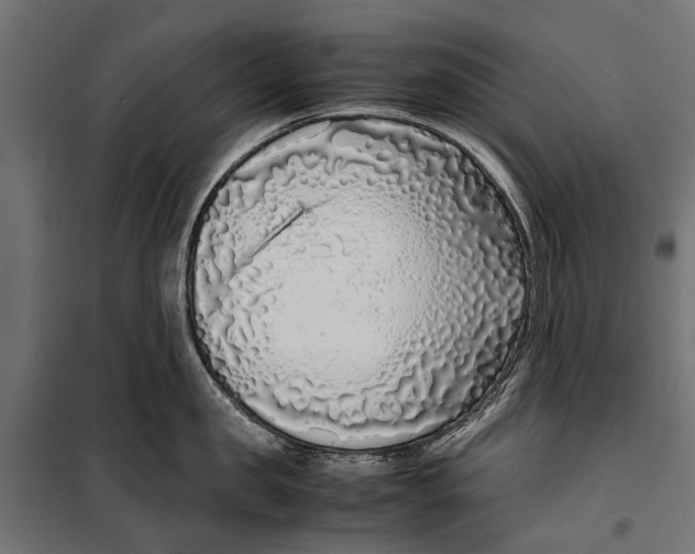 X0000099930957200806201054