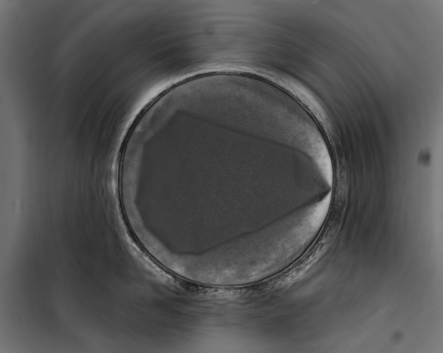 X0000099930958200806201054