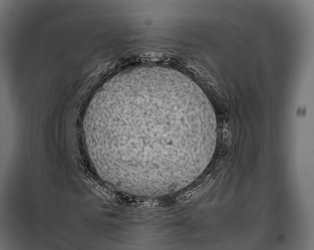 X0000099930961200806201053