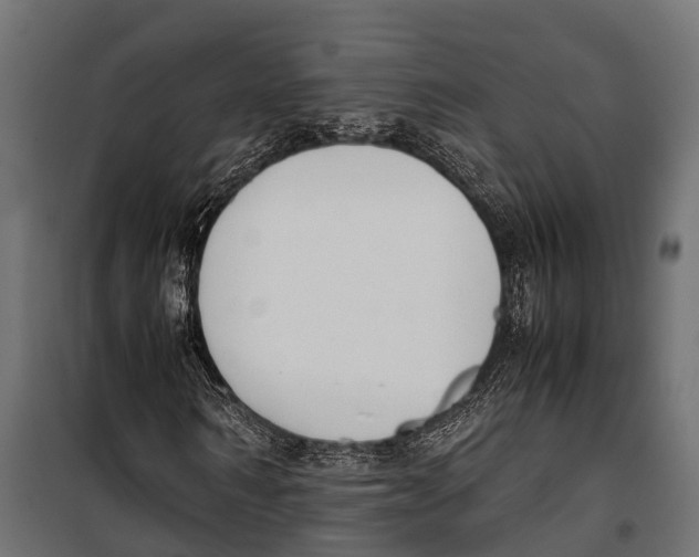 X0000099930962200806201053