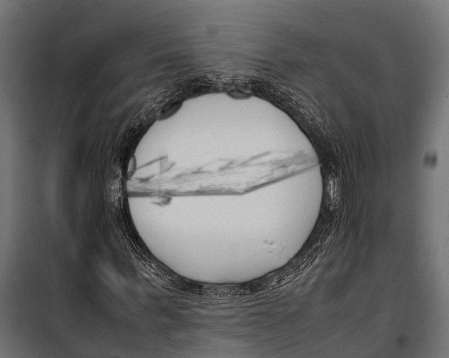 X0000099930963200806201053