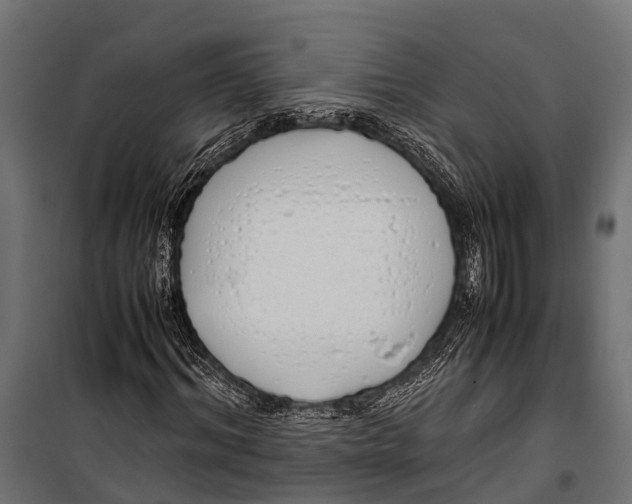 X0000099930964200806201053