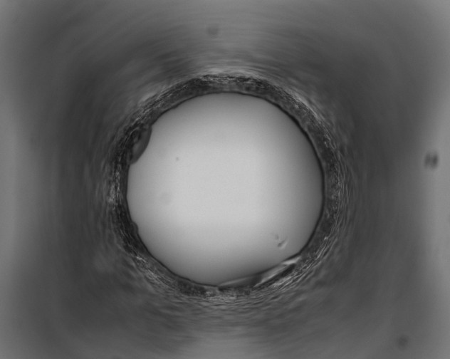 X0000099930965200806201053